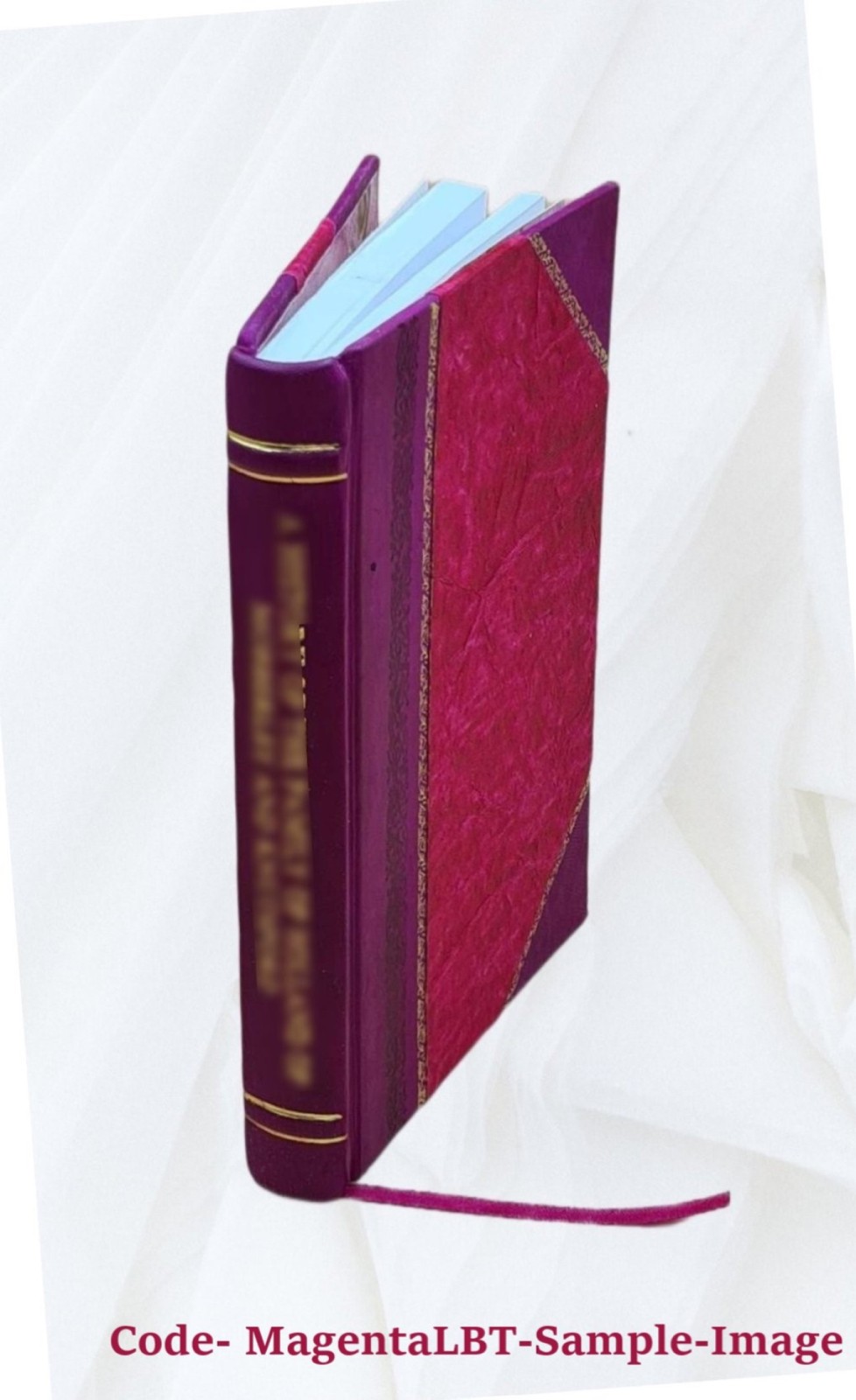 Grammatik der plattdeutschen Sprache. Zur Würdigung zur K 1858 [Leather Bound]