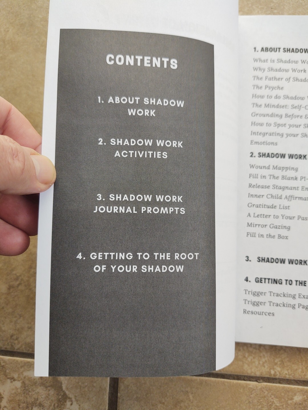 THE SHADOW WORK JOURNAL Guide Integrate & Transcend Your Shadows Self Help Book