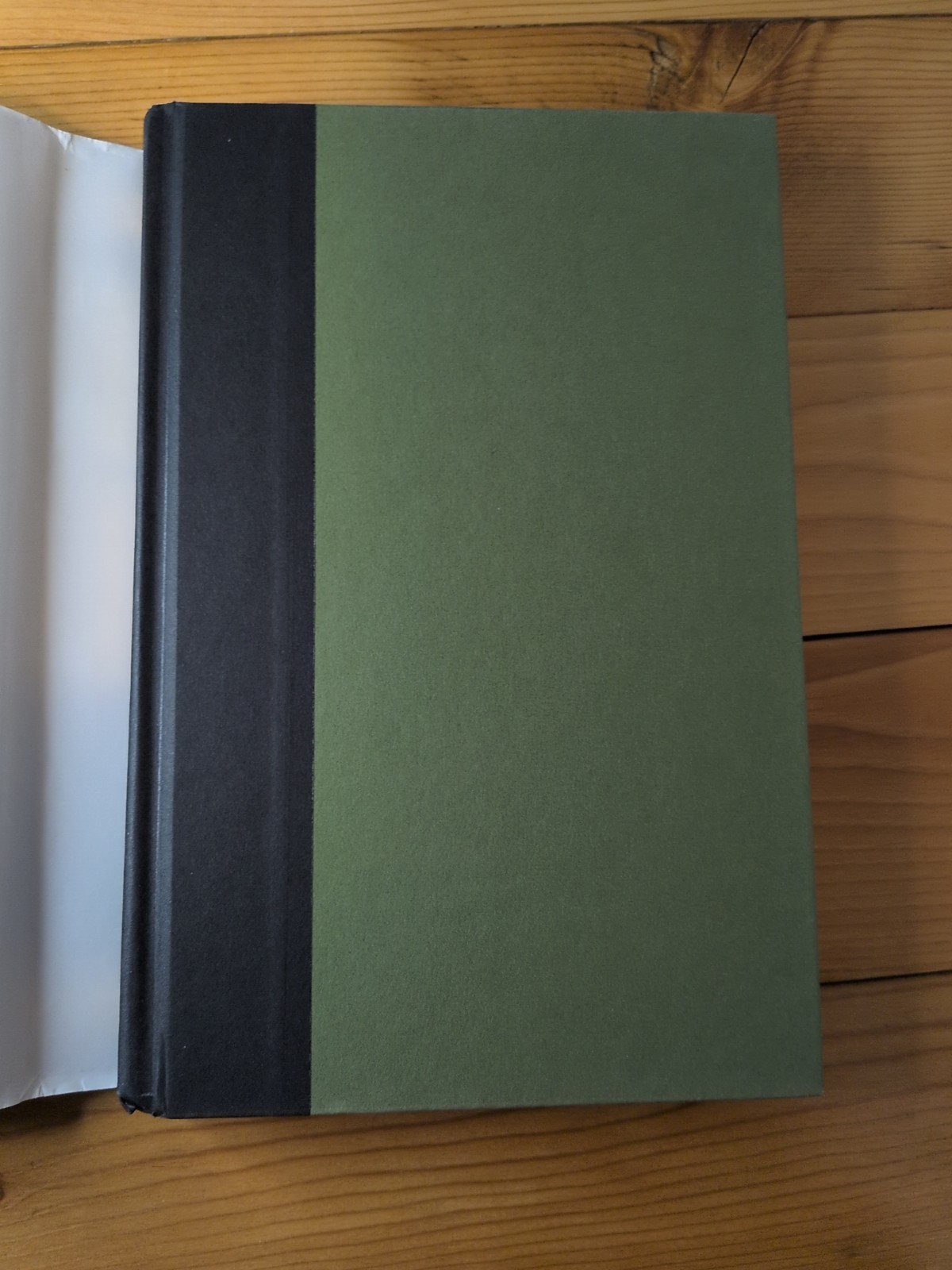 Persons Unknown by Susie Steiner (2017, Hardcover) First Edition First Printing