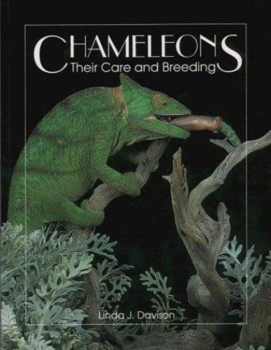 Act Ser.: Chameleons : Their Care and Breeding by Linda Davison (1997, Trade…