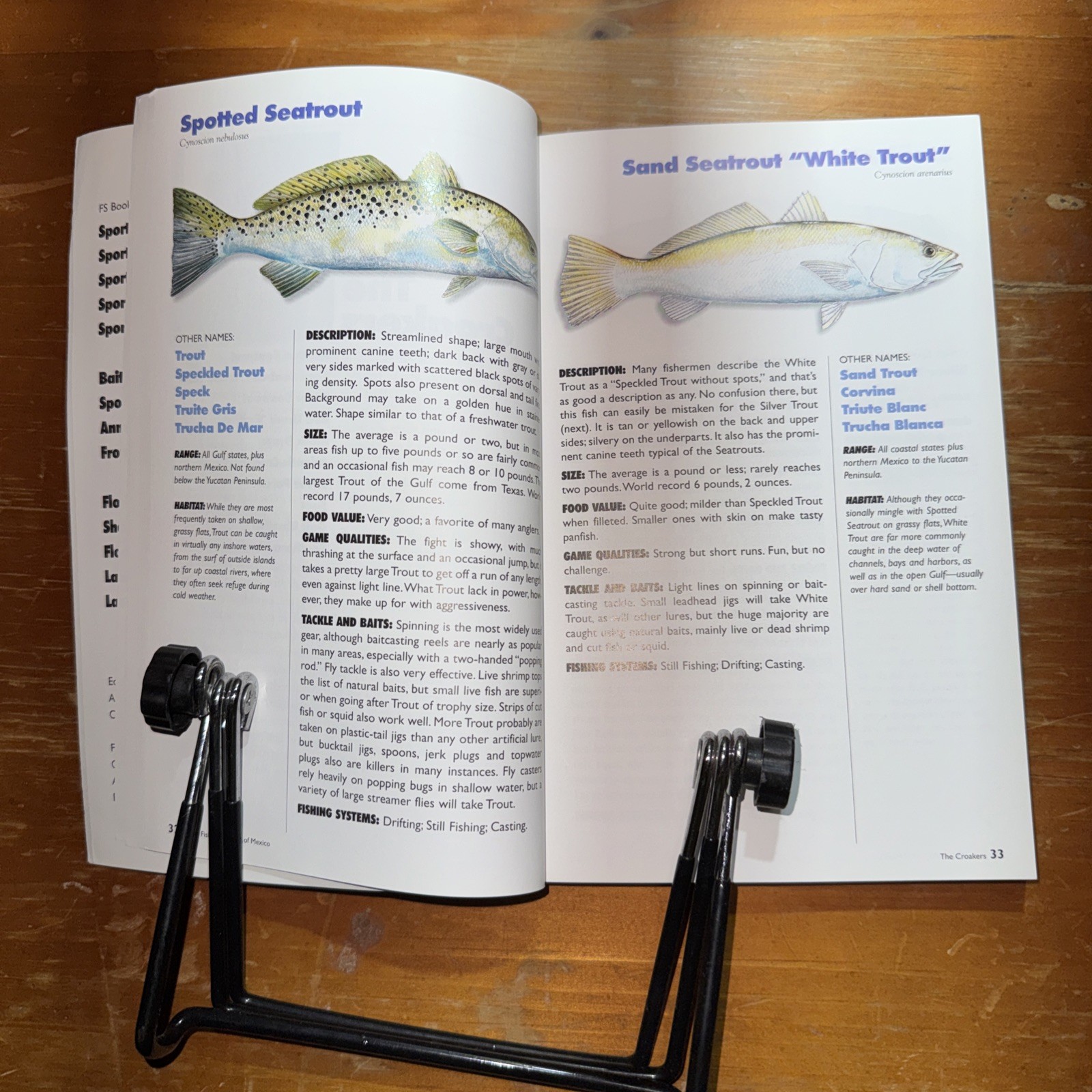 Sport Fish of the Gulf of Mexico