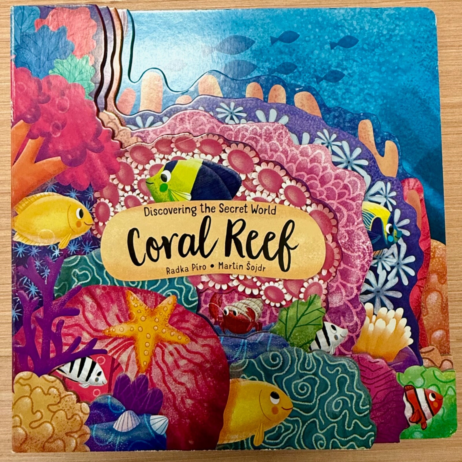 Discovering the Secret World: Coral Reef by Radka Piro