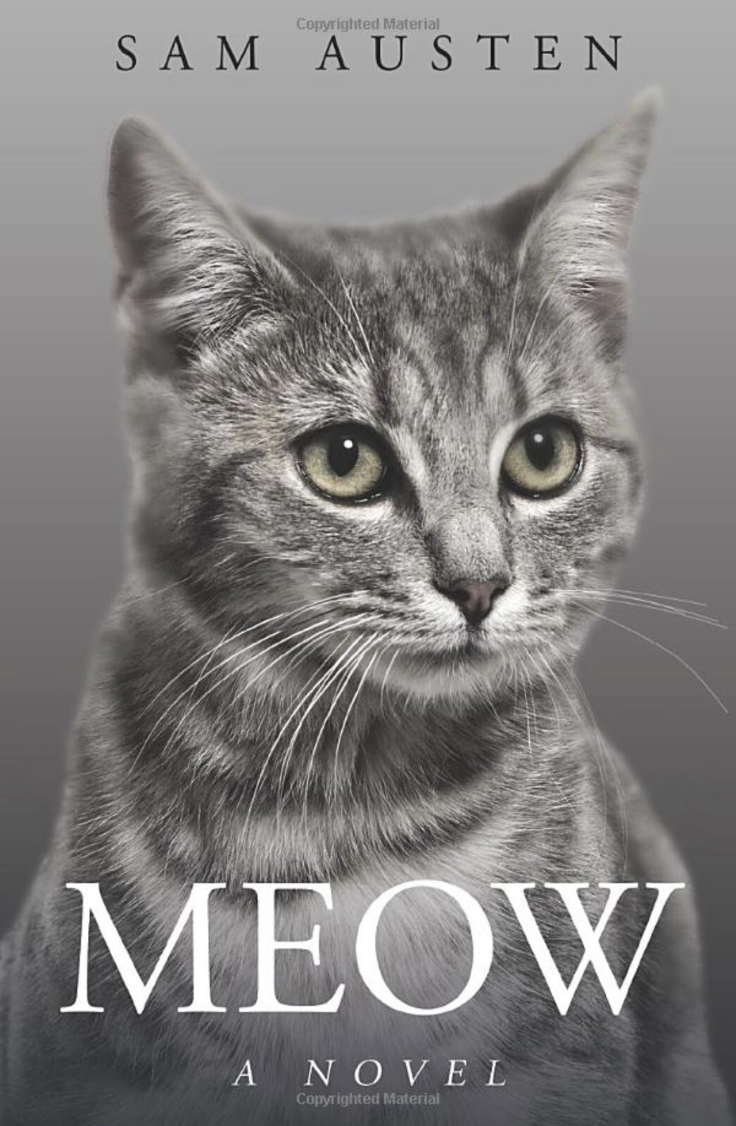 Meow Book for Cats – A Novel w/ only the word Meow, 345 pgs, by Sam Austen