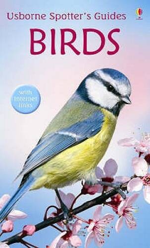 Birds (Usborne Spotters Guide) – Paperback By Peter Holden – GOOD