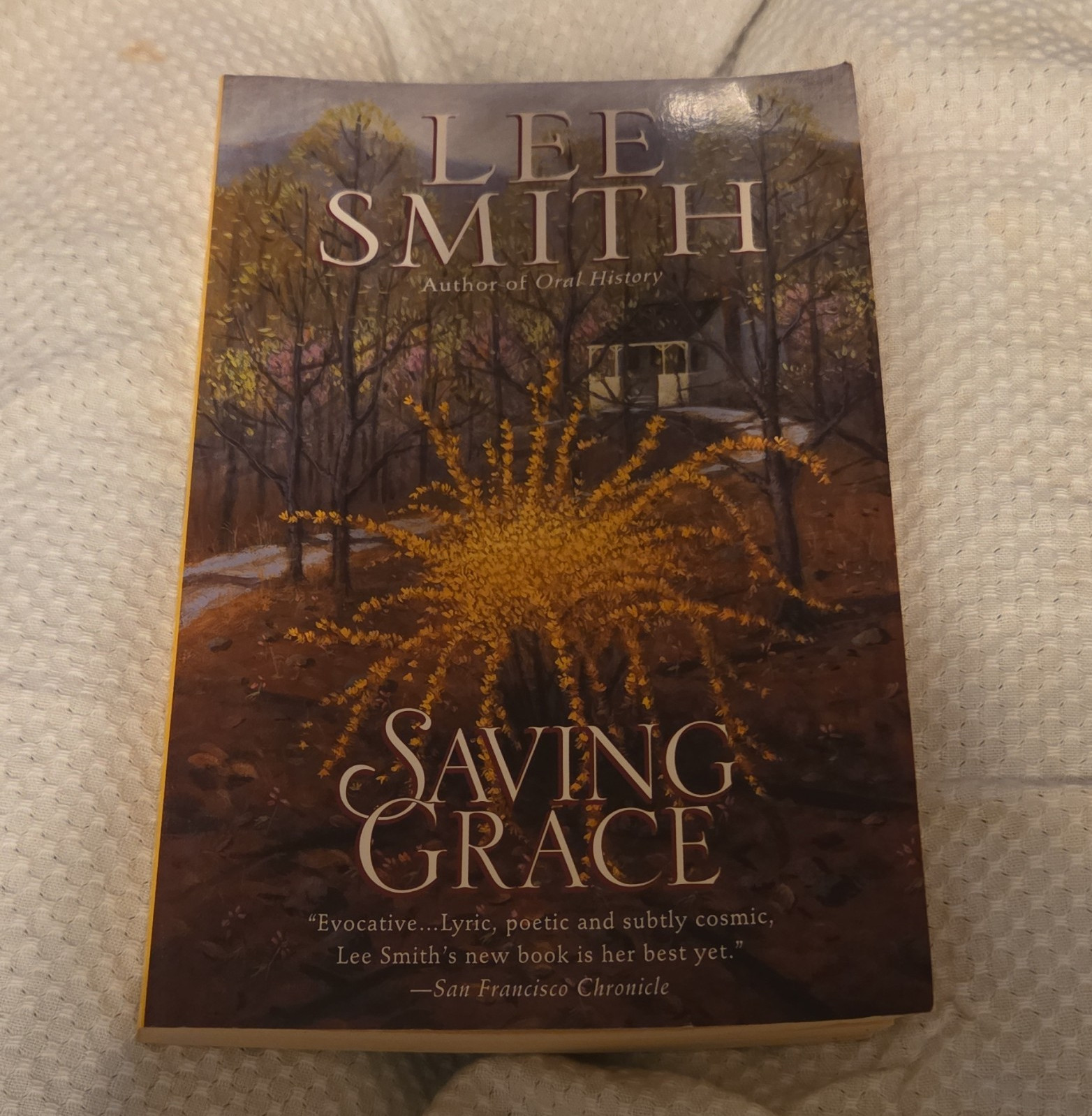 Lee Smith Saving Grace Trade Paperback 1996 Fiction Psychological Saga