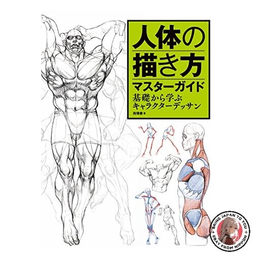 Master Guide to Drawing the Human Body: Learn Character Drawing from the Basics
