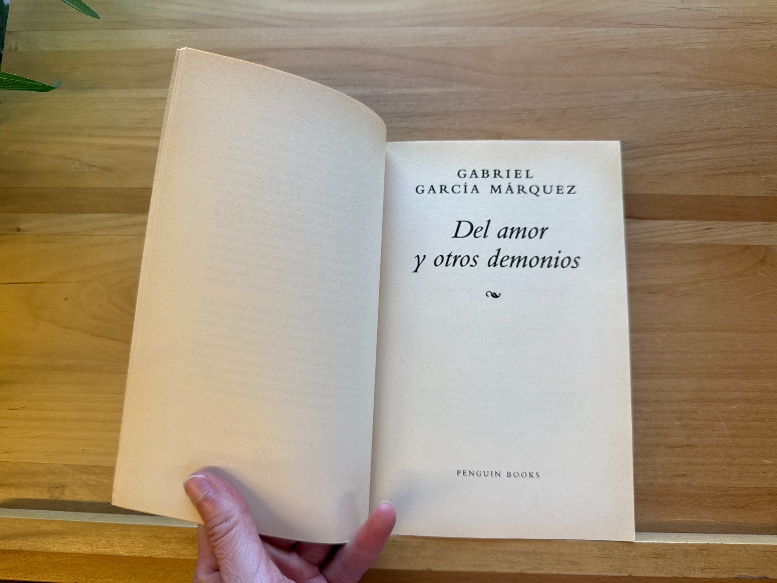 Gabriel García Márquez LOT of 7 Spanish/English PB/HCDJ