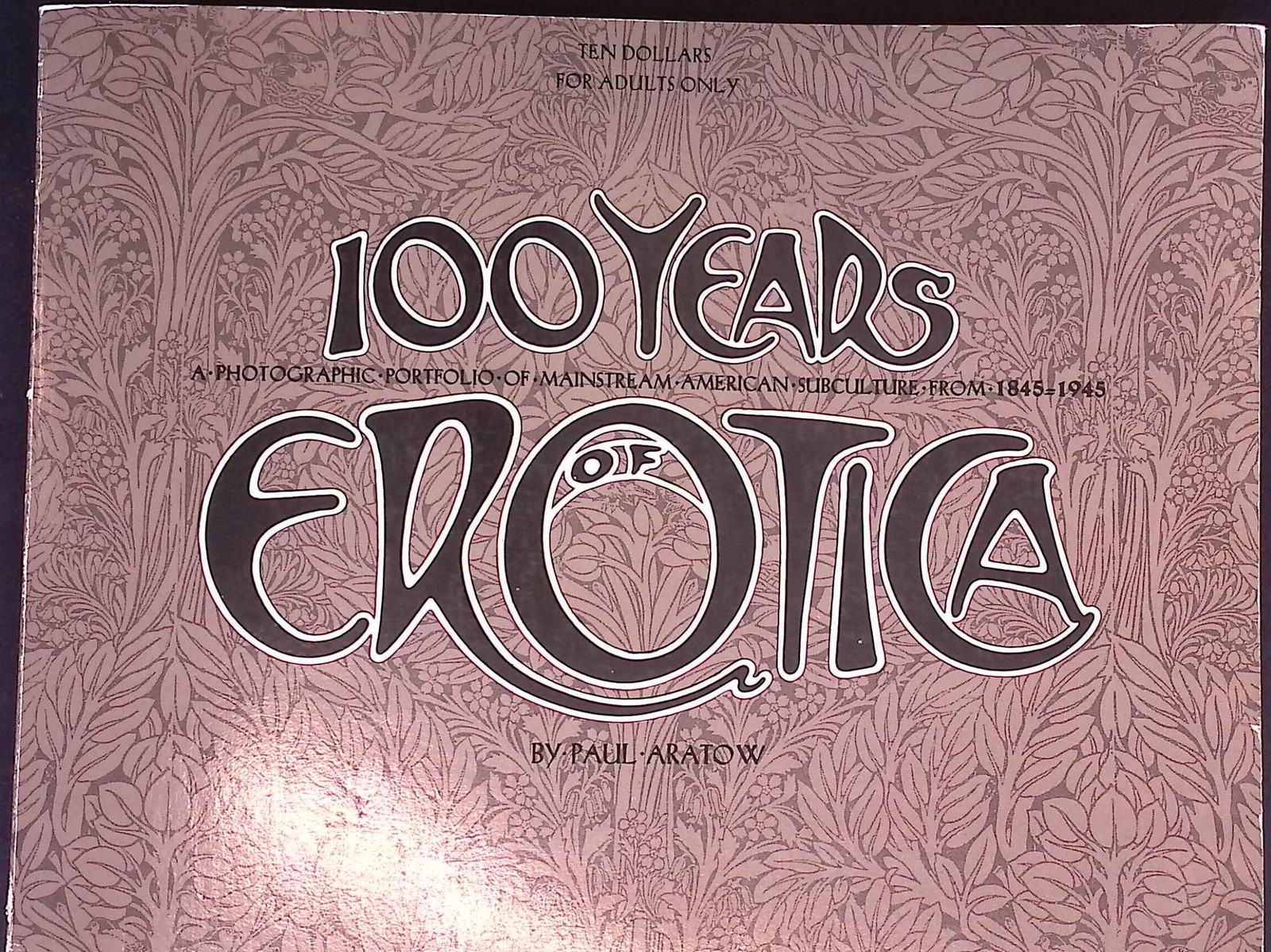 100 years of erotica;: A photographic portfolio of mainstream American subcultur