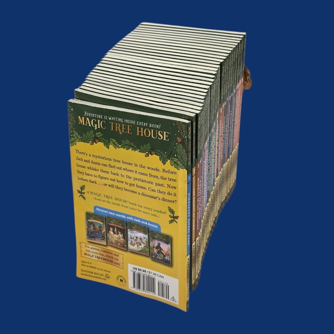 Set 3A: Magic Tree House A Library of Books 1-28 – Mary Pope Osborne Collection