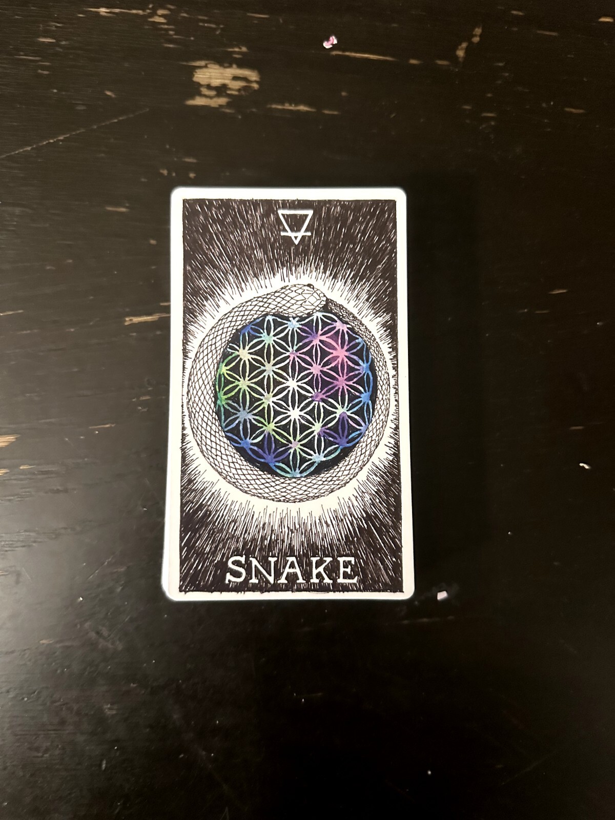 The Wild Unknown Ser.: The Wild Unknown Animal Spirit Deck and Guidebook…