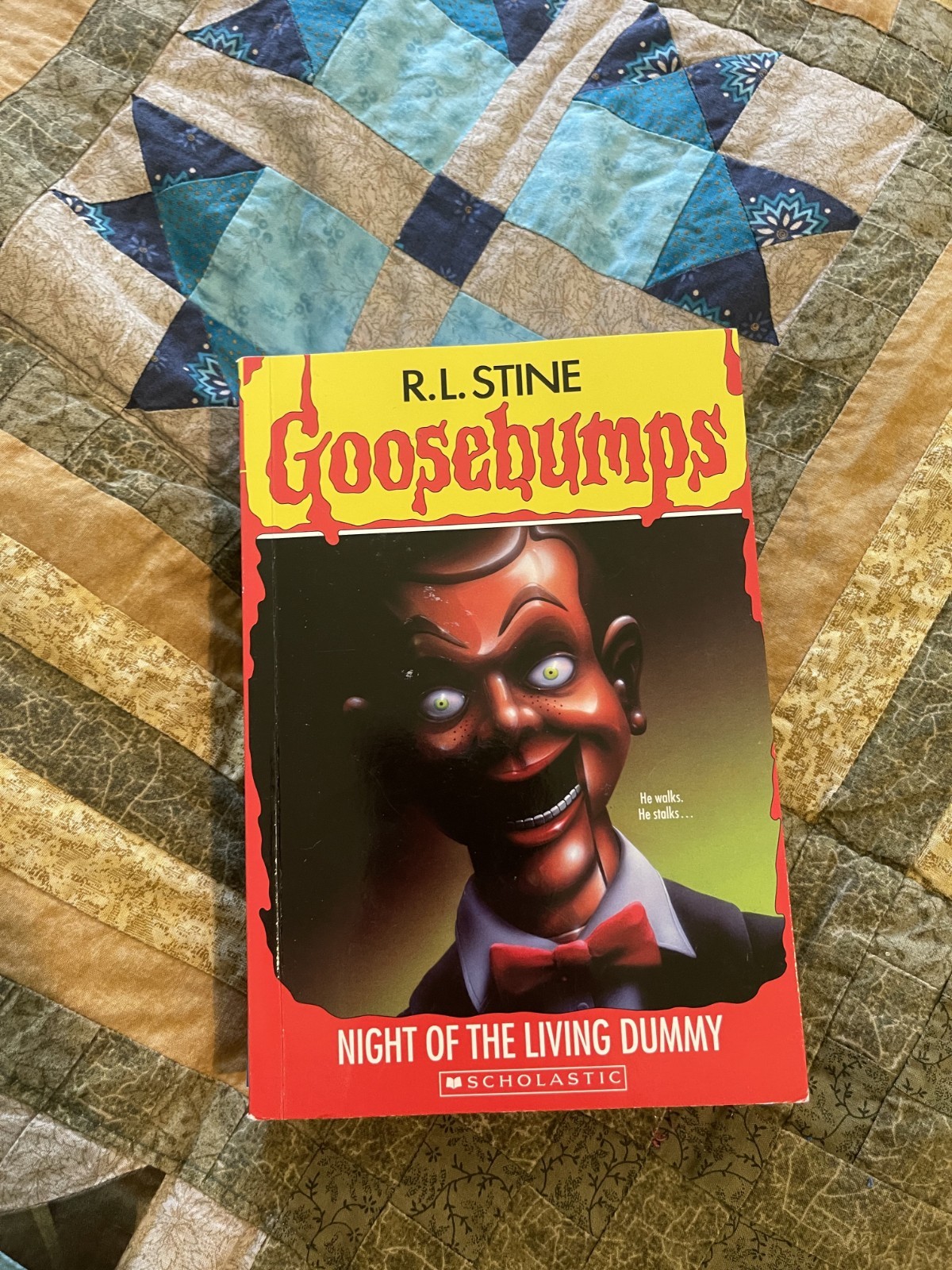Goosebumps Books Lot of 8 – One 1990s, others from 2000s RL Stine Not Numbered