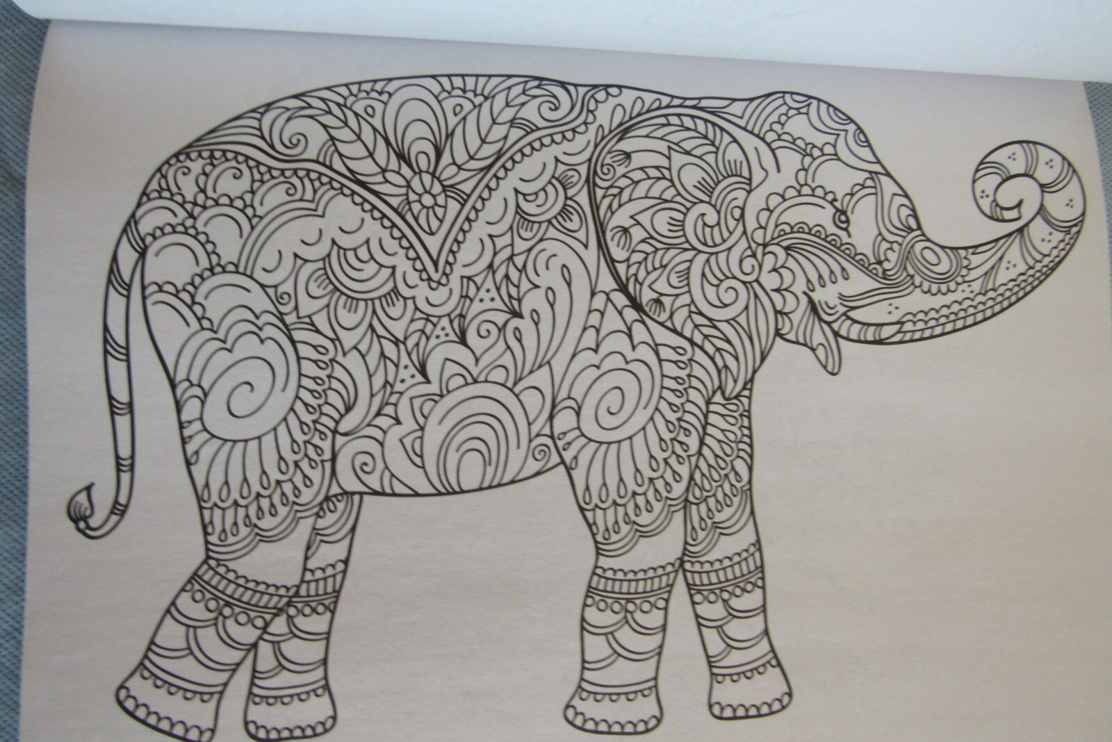 Kaleidoscope Coloring Book Majestic Creatures 47 Prints Ready To Frame Vol 25