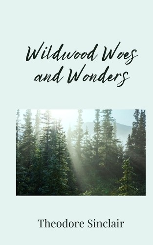 Theodore Sinclair Wildwood Woes and Wonders (Paperback) (UK IMPORT)