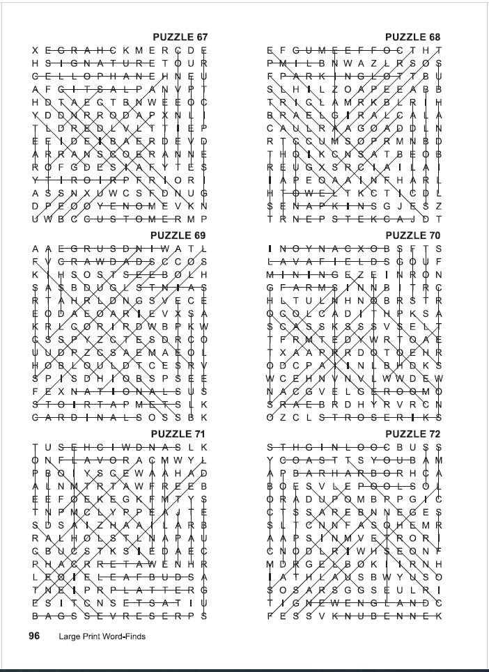 Large Print Word Finds- Word Search Puzzle Book