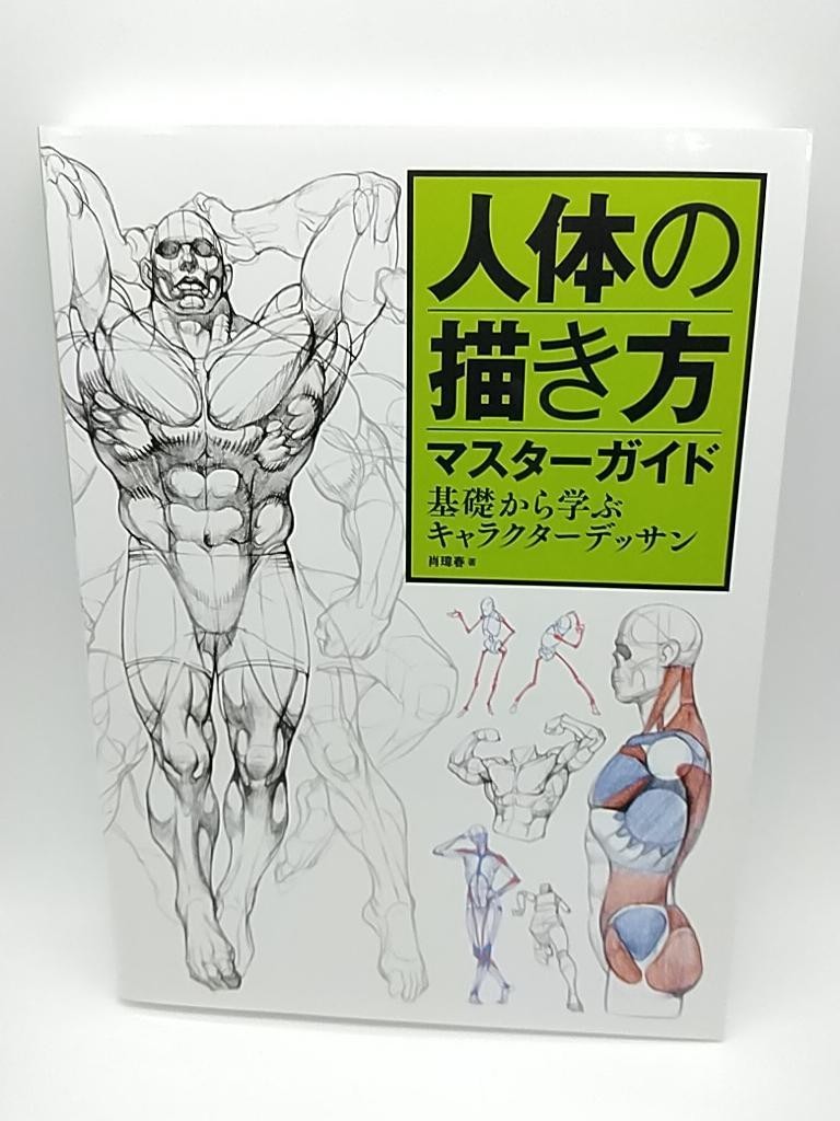 Human Anatomy Drawing Master Guide: Character Design Basics Large Book Japan