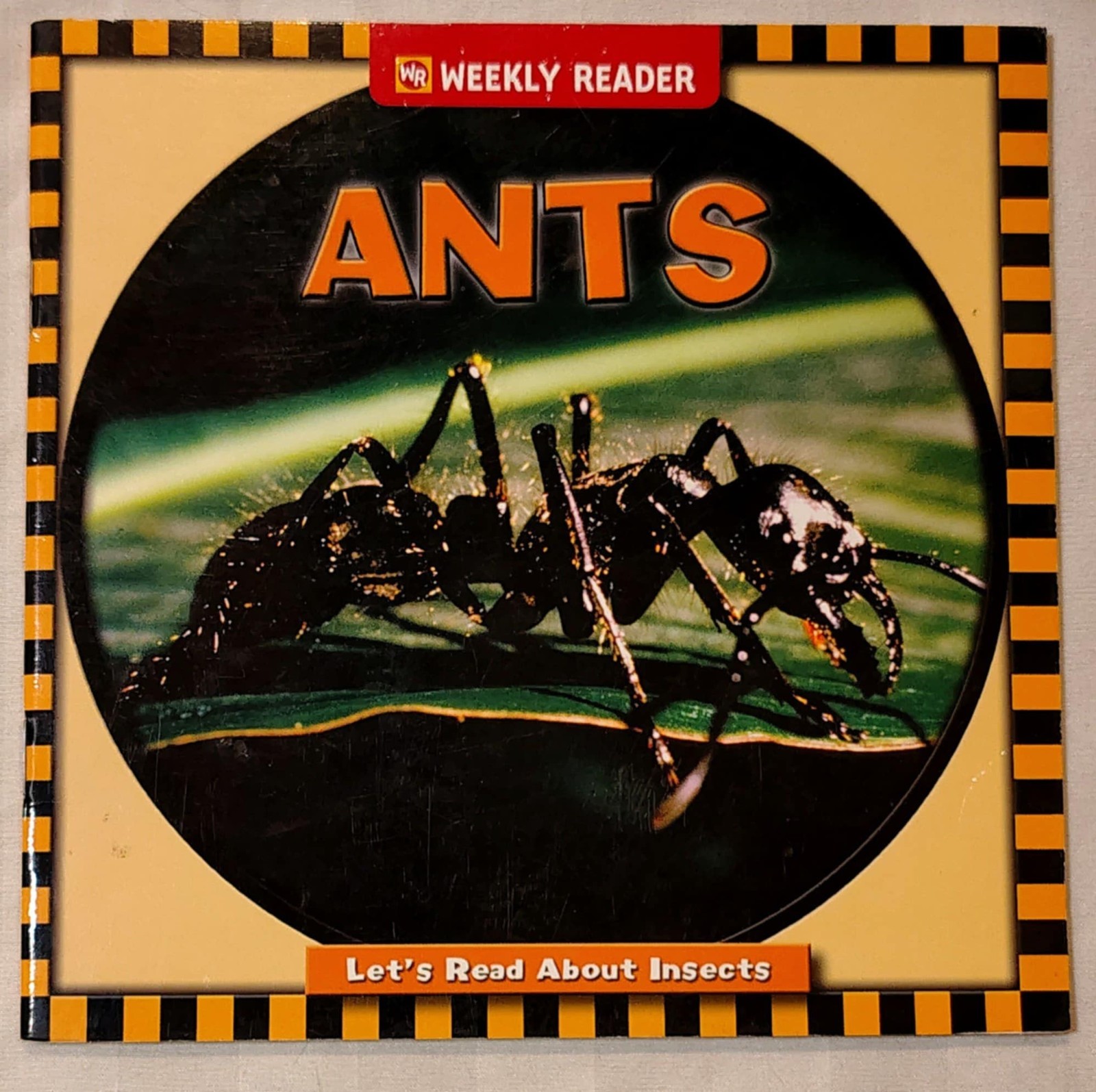 Let’s Read About Insects Ants Weekly Reader Early Learning Ex-Library PB