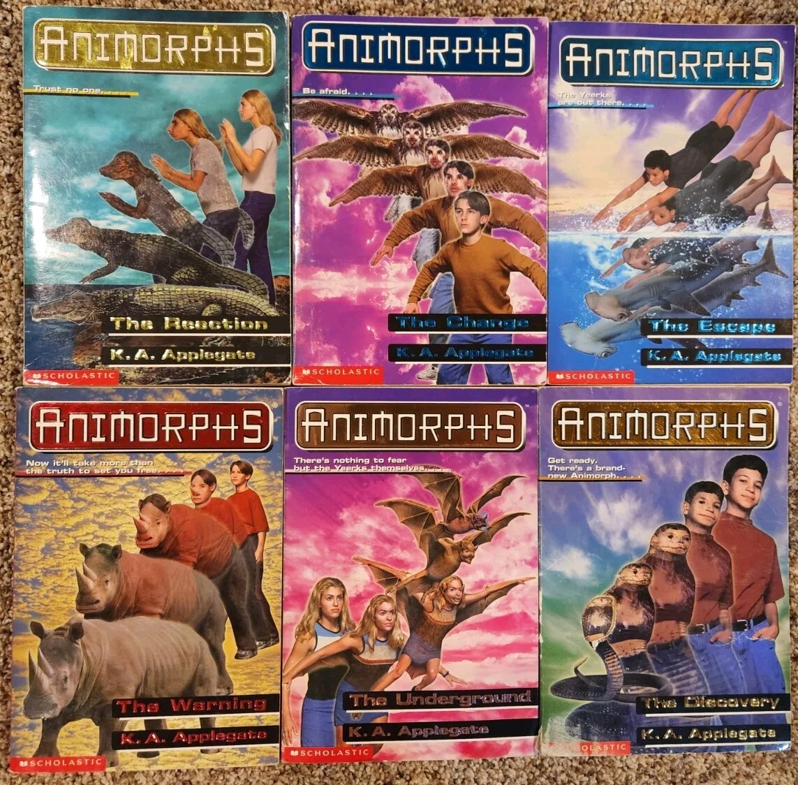 Lot of 28 – Animorphs Book – Scholastic Applegate – 2 Hardcover