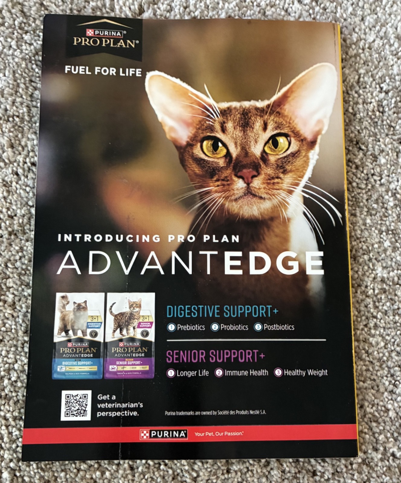 🟥 March 2026 National Geographic magazine Spider Silk, Vikings SPECIAL ISSUE
