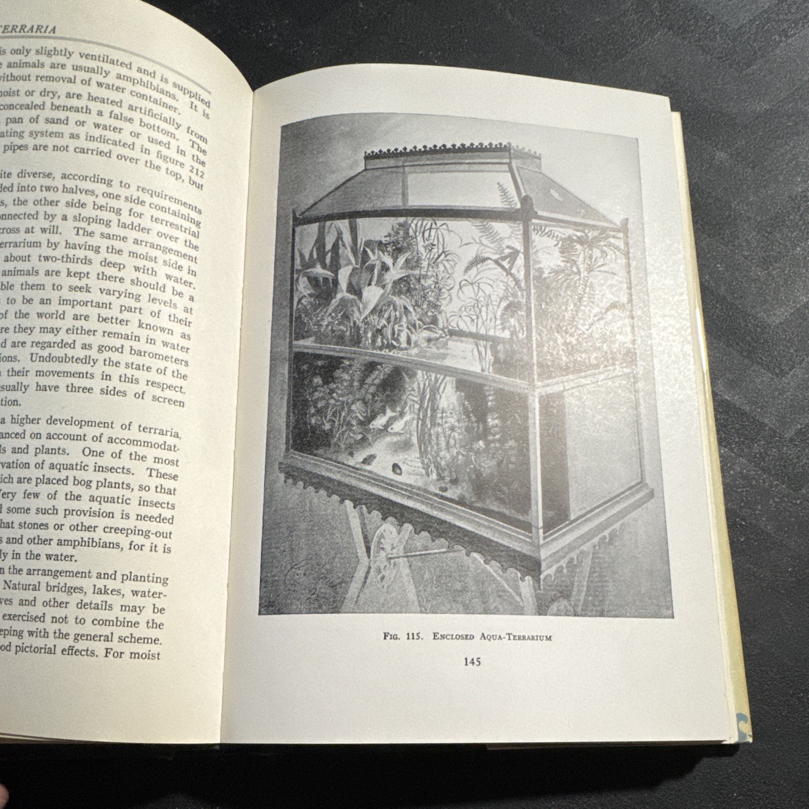 William T. Innes – Goldfish Varieties & Tropical Aquarium Fishes – 1931