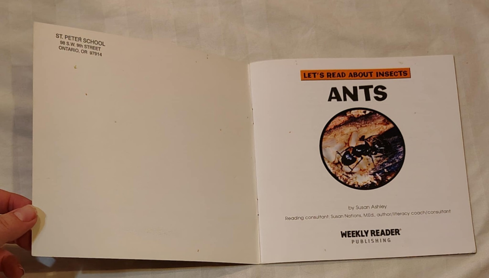 Let’s Read About Insects Ants Weekly Reader Early Learning Ex-Library PB