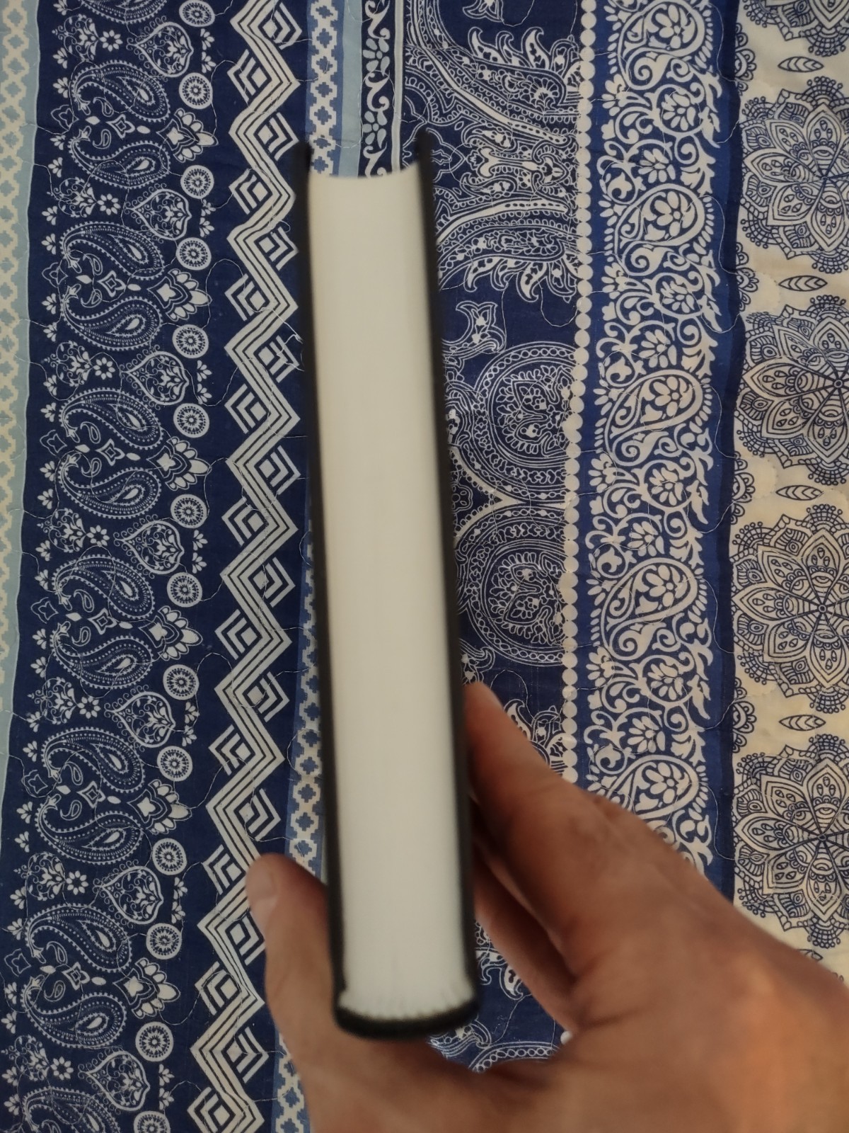 Essays Volume 4 by J. Edward & Erica Cornelius Signed Privately Published 1/200