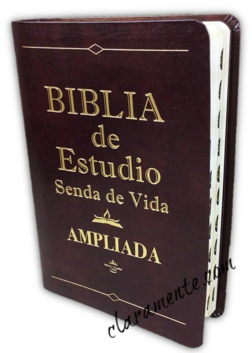 Biblia Pastoral de Estudio Senda de Vida Ampliada RV1960 marrón con indice