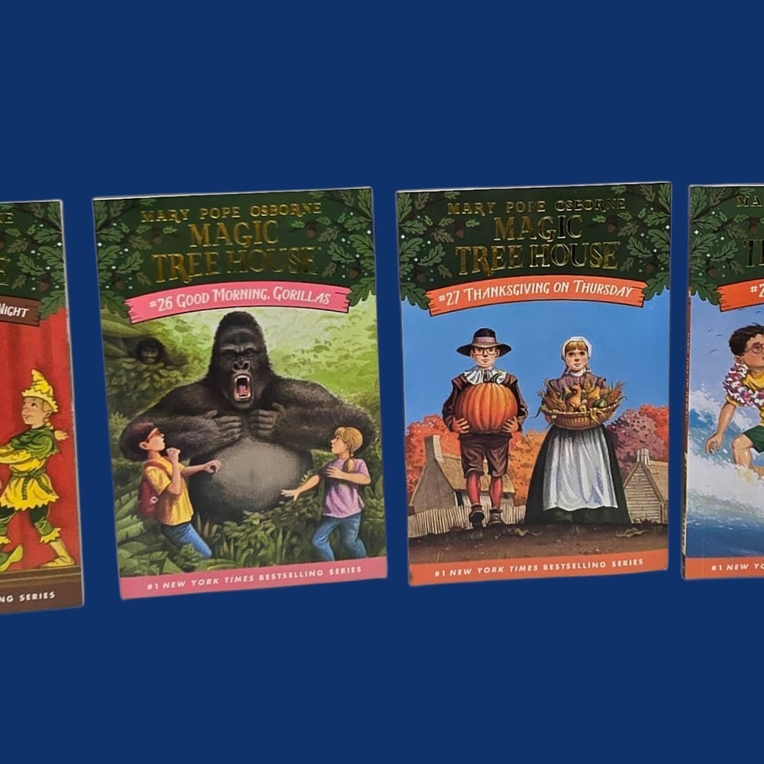 Set 3A: Magic Tree House A Library of Books 1-28 – Mary Pope Osborne Collection
