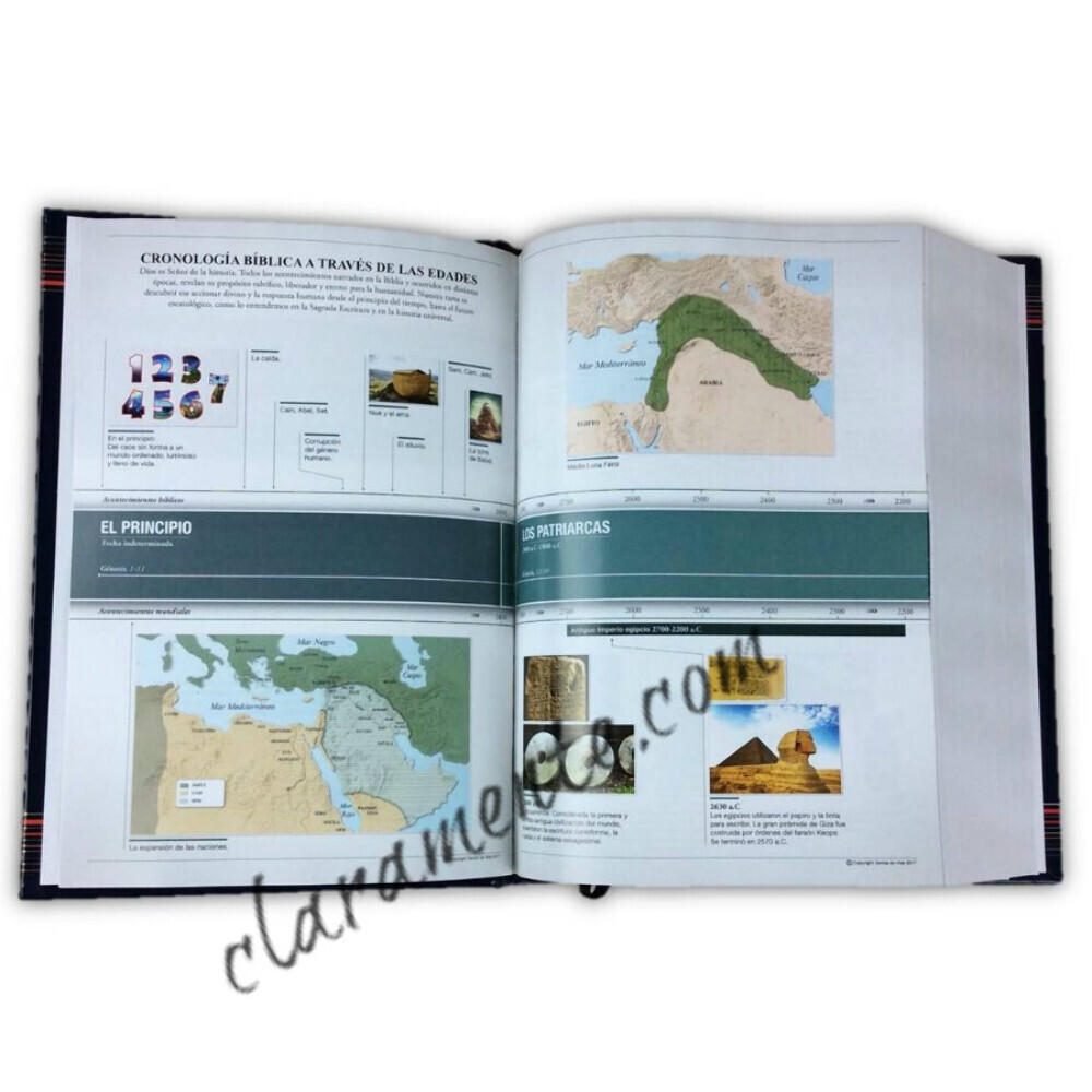 Biblia Pastoral de Estudio Senda de Vida Ampliada RV1960 marrón con indice