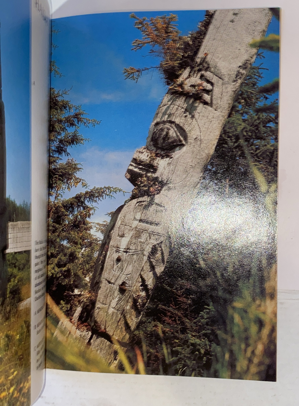 Act Ser.: Totem Poles of the Northwest by D. Allen (1977, Trade Paperback)
