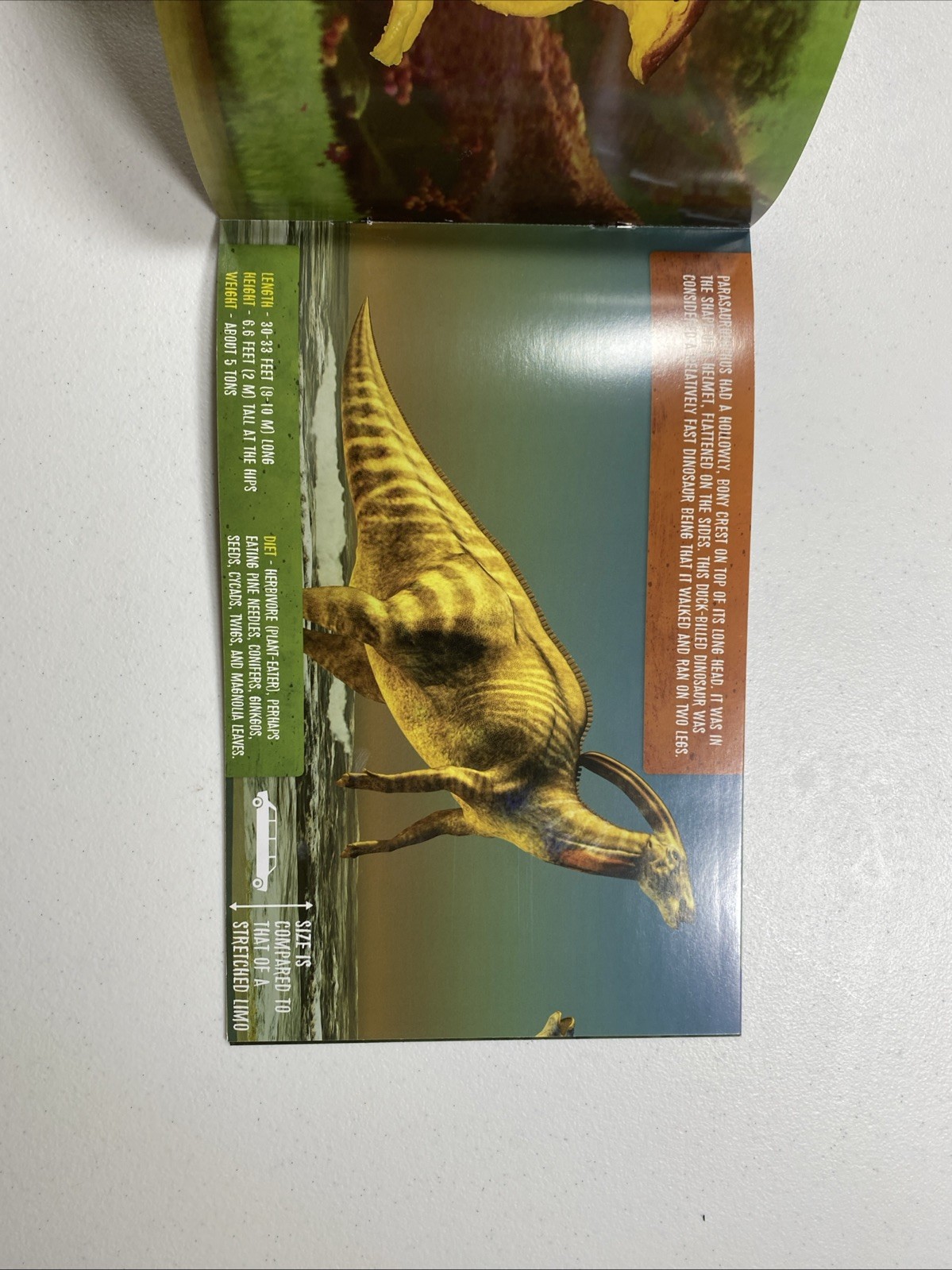 The Prextex Book of Dinosaurs Staple Bound Paperback Book (book only) (24 pages)