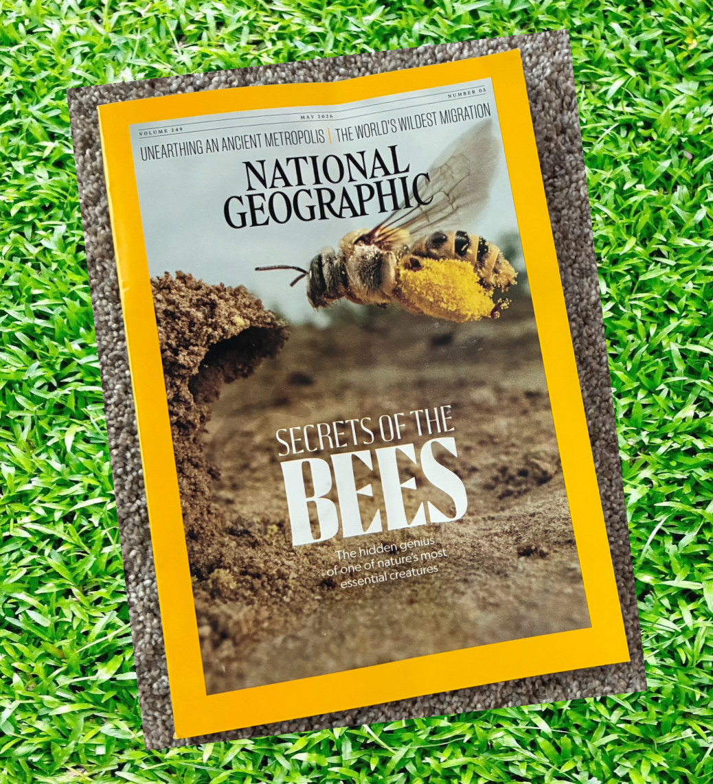 🟥 May 2026 National Geographic magazine Secrets of Bees, robots SPECIAL ISSUE