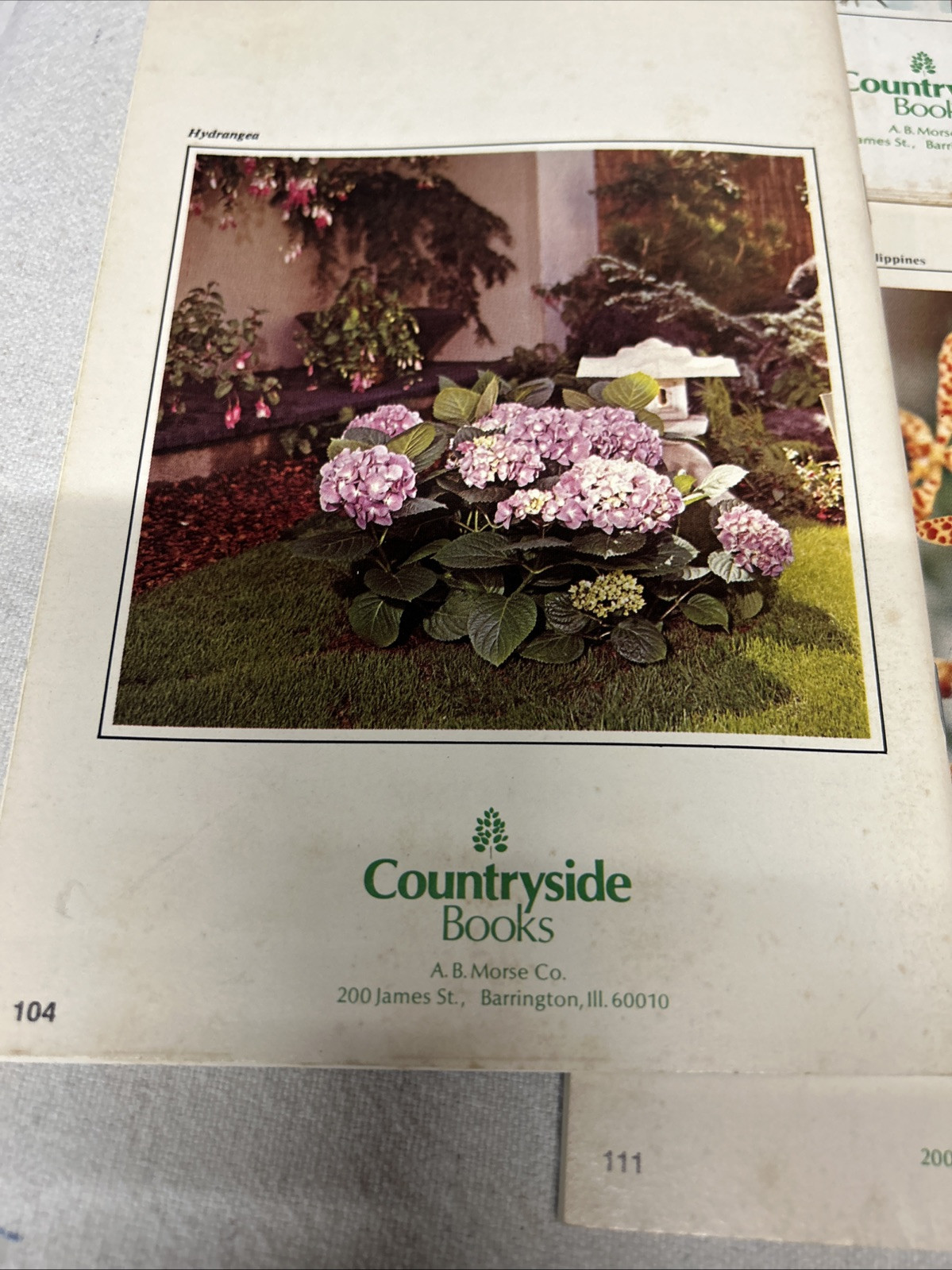 Gardening Guides VINTAGE Book 1970’S Garden And Houseplants Countryside Books