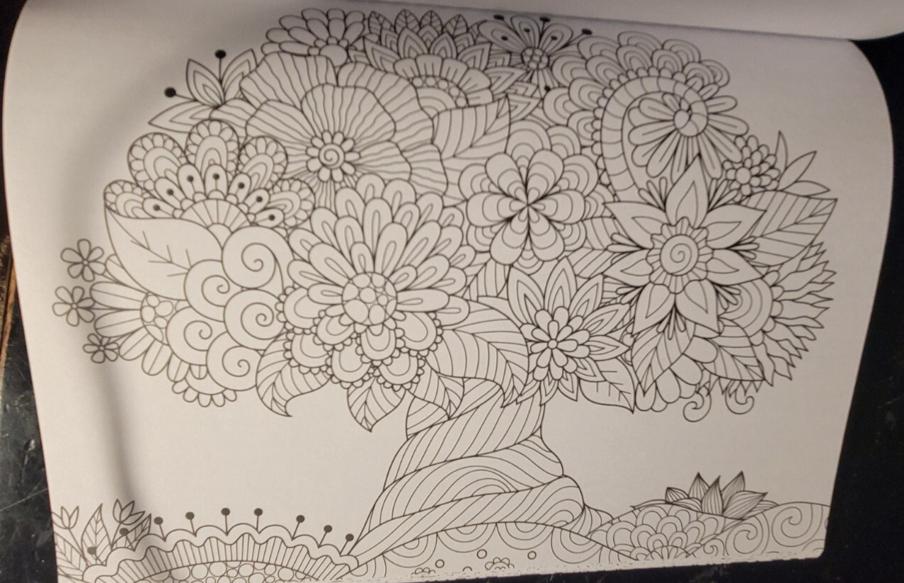 COLOR ME MAGNIFICENT Vol 11 Adult Coloring Book With 47 Prints Ready To Frame