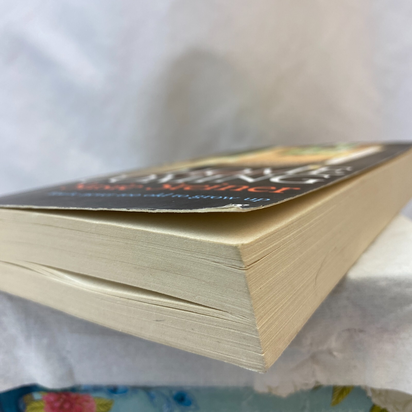Home Coming By Susie Steiner- Paperback