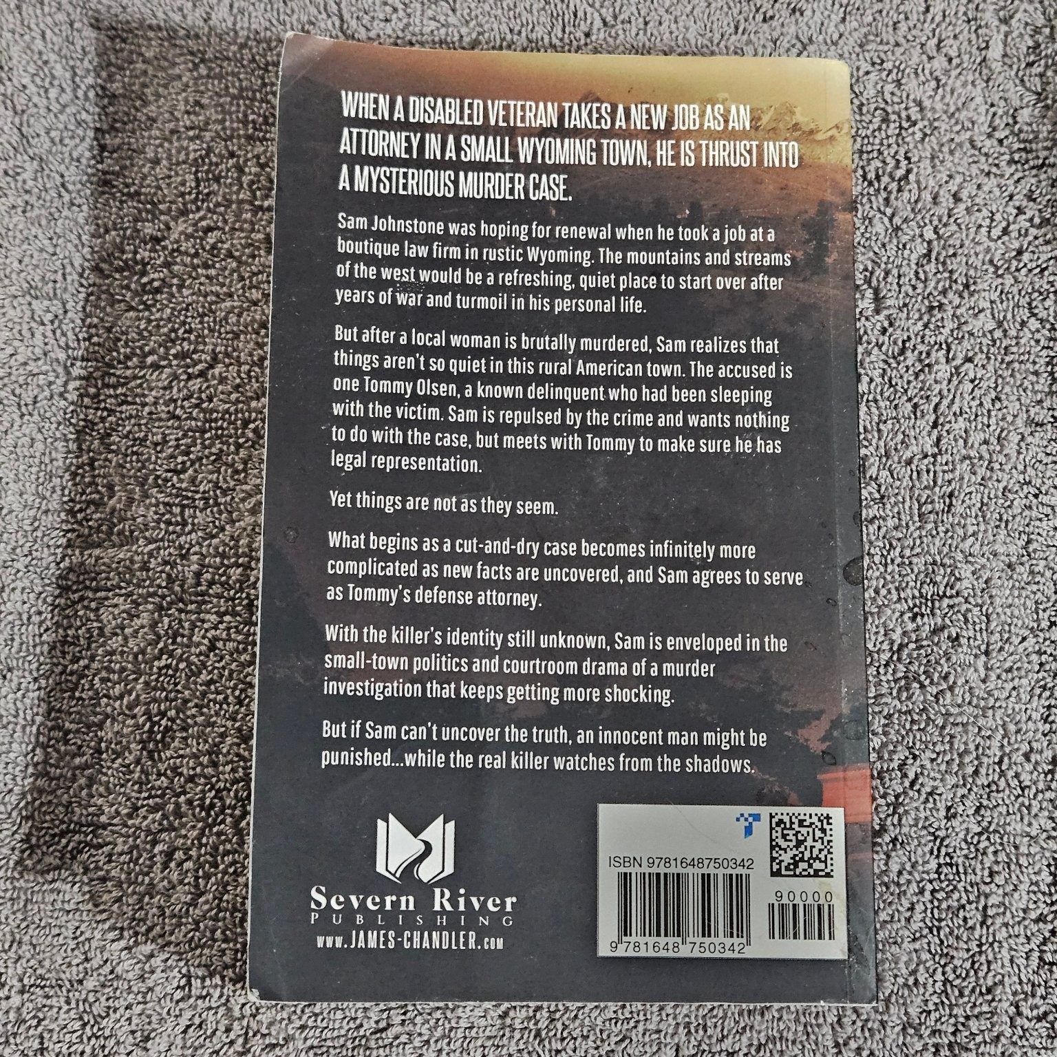 Misjudged James Chandler 2020 Paperback Legal Thriller Severn River Publishing
