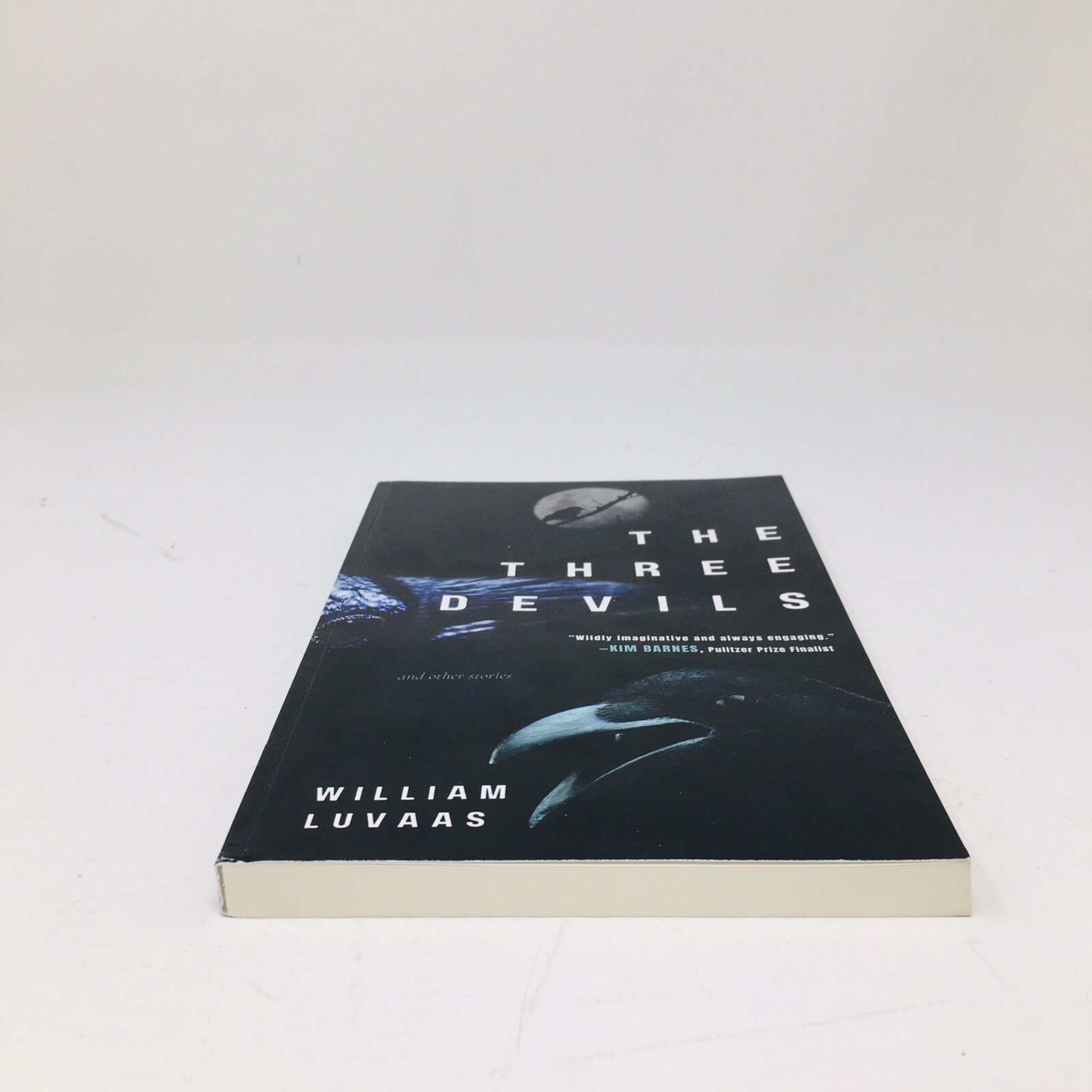 Three Devils ARC by William Luvaas Dystopian Stories Fantasy Climate Doom Proof
