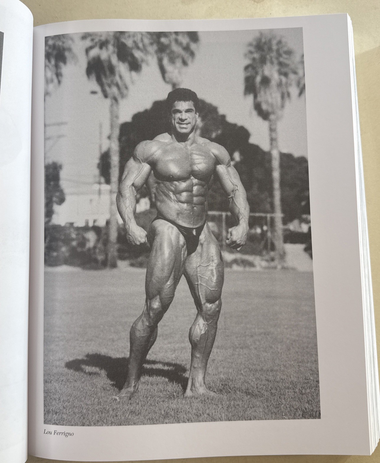 Encyclopedia Modern Bodybuilding Arnold Schwarzenegger weight lifting vintage
