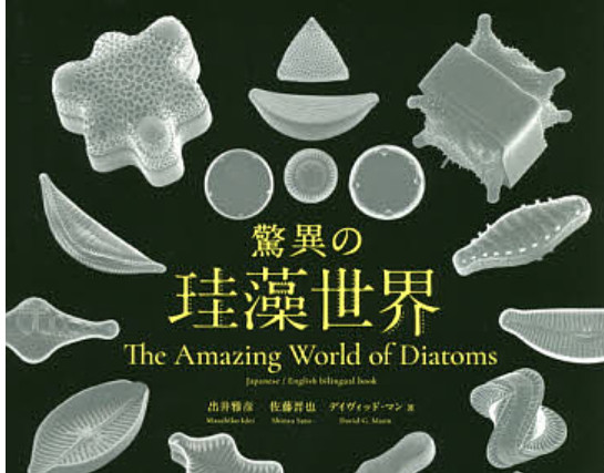 Amazing World of Diatoms Photobook Microscopic Art Visual Book 8.3 x 5.9 inches