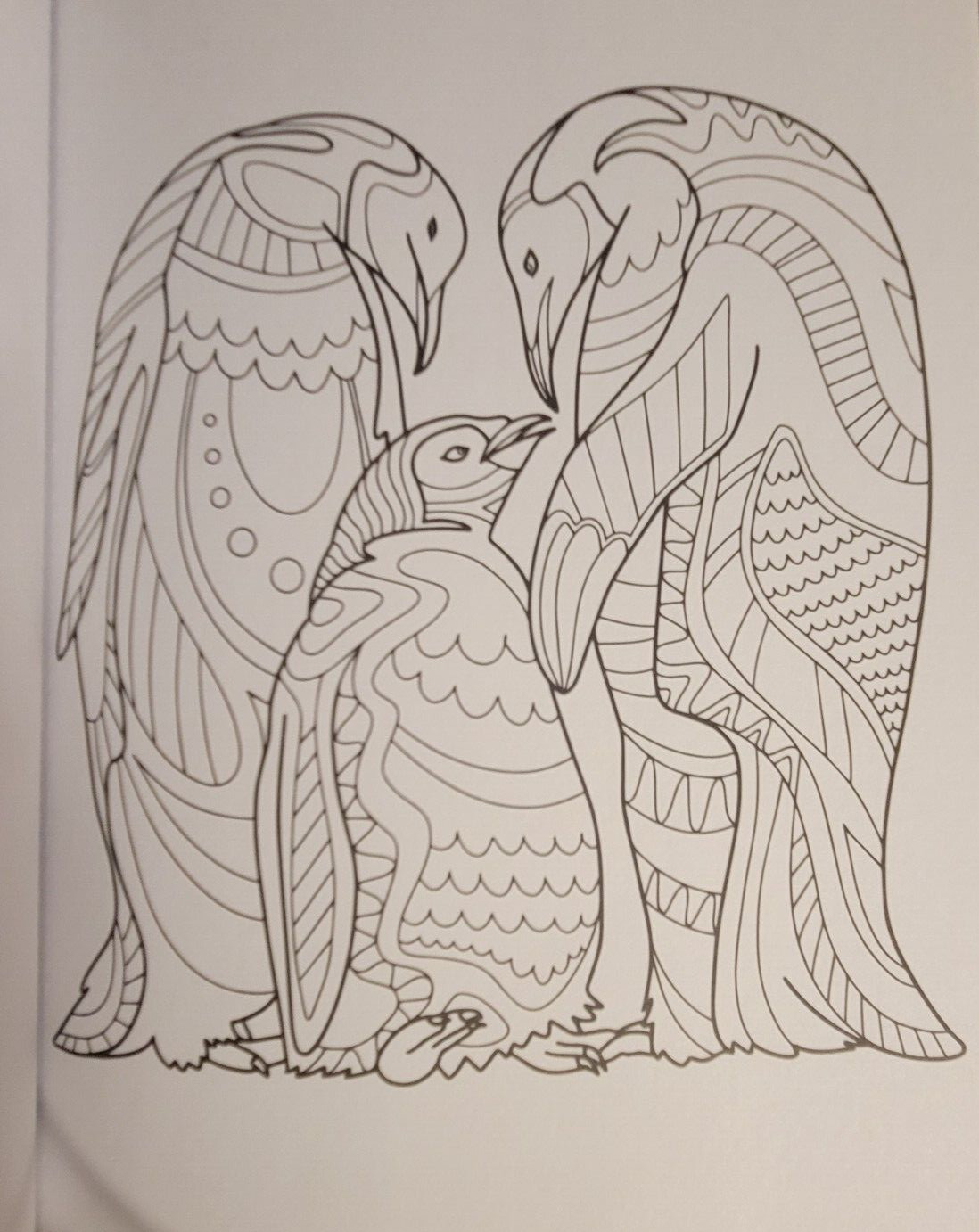 COLORS OF THE WILD Vol. 21 Adult Coloring Book With 47 Prints Ready To Frame!