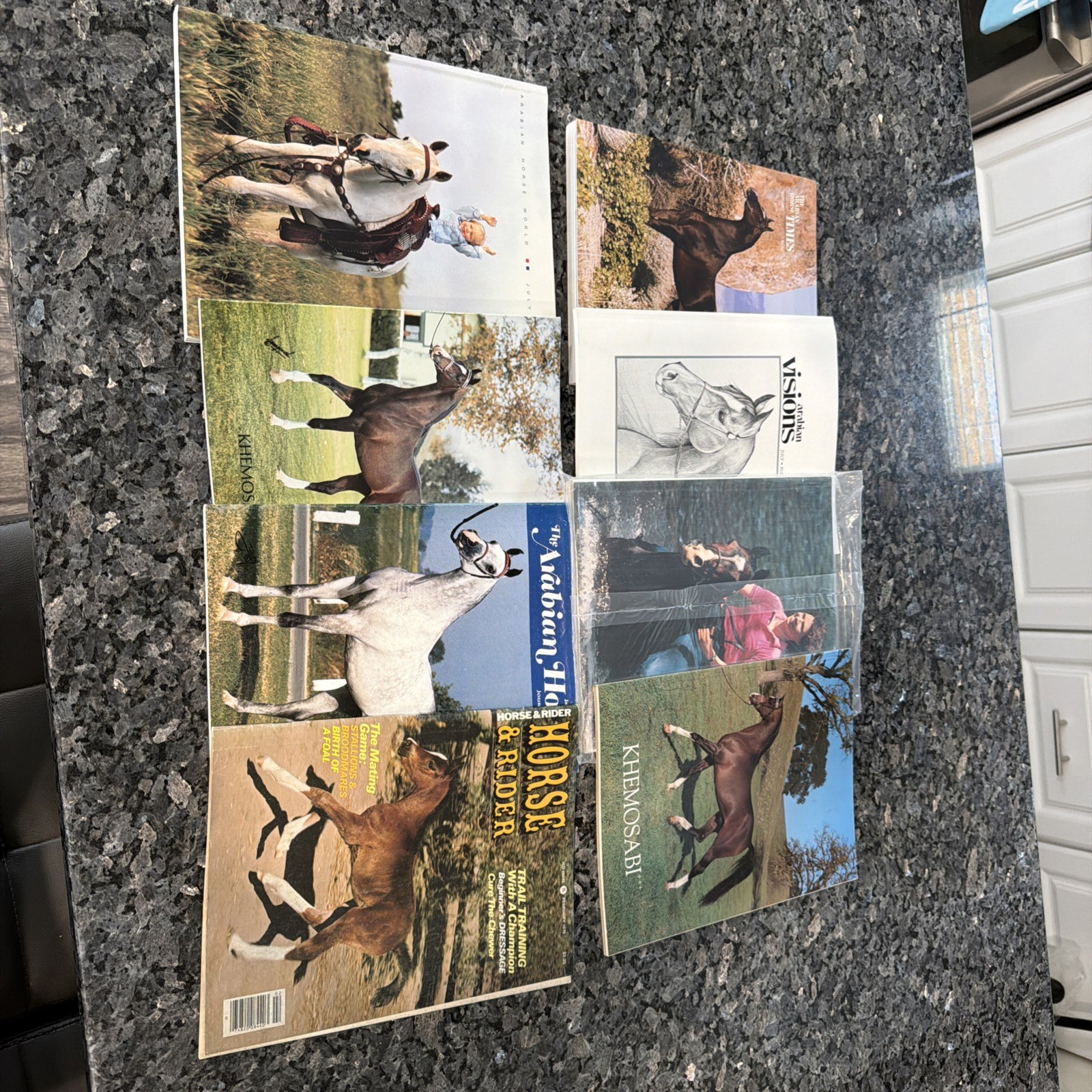 Lot Of Horse Books, Magazines Arabian Horses