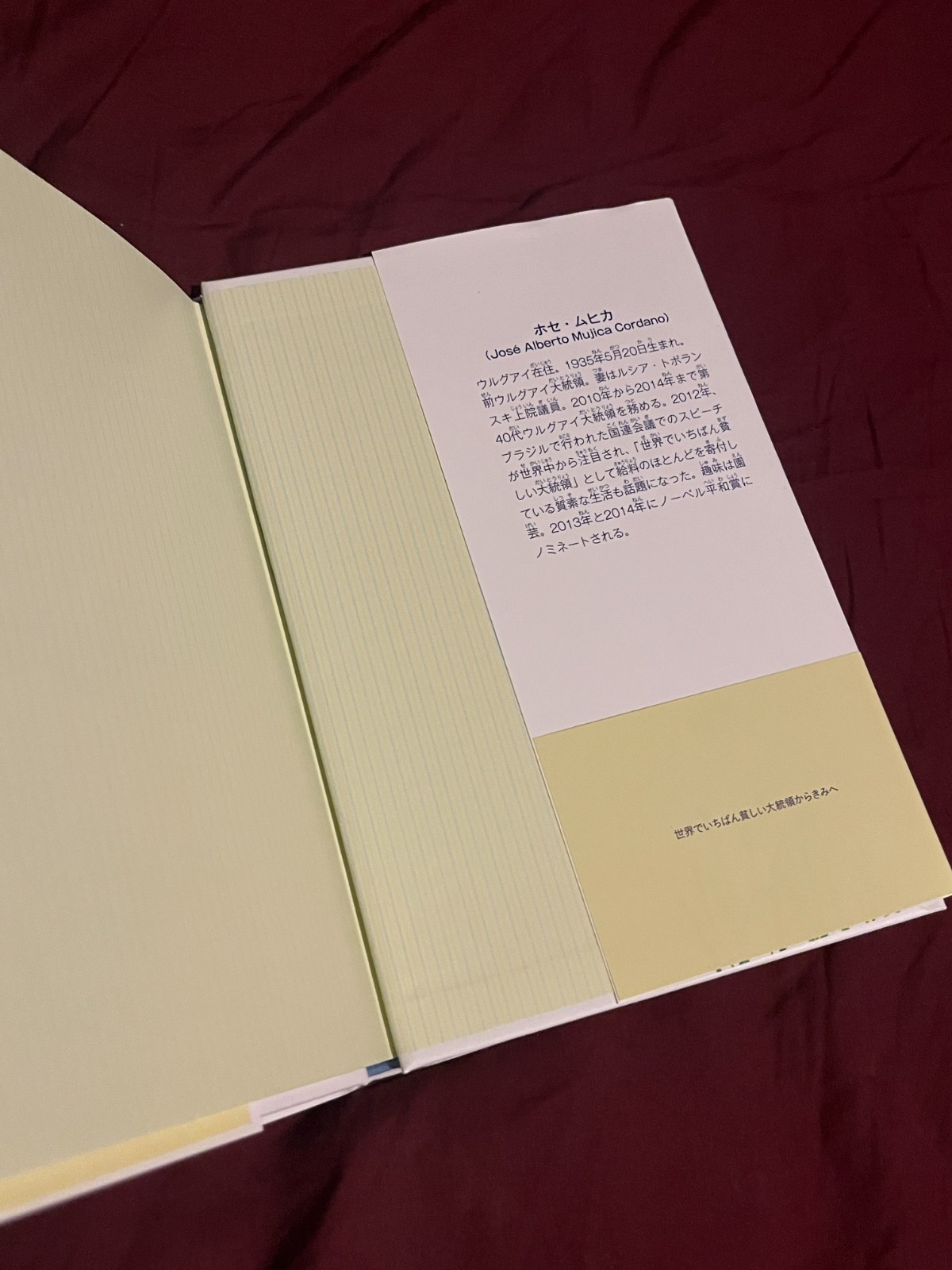 Message from the Poorest President in the World to You (Japanese)
