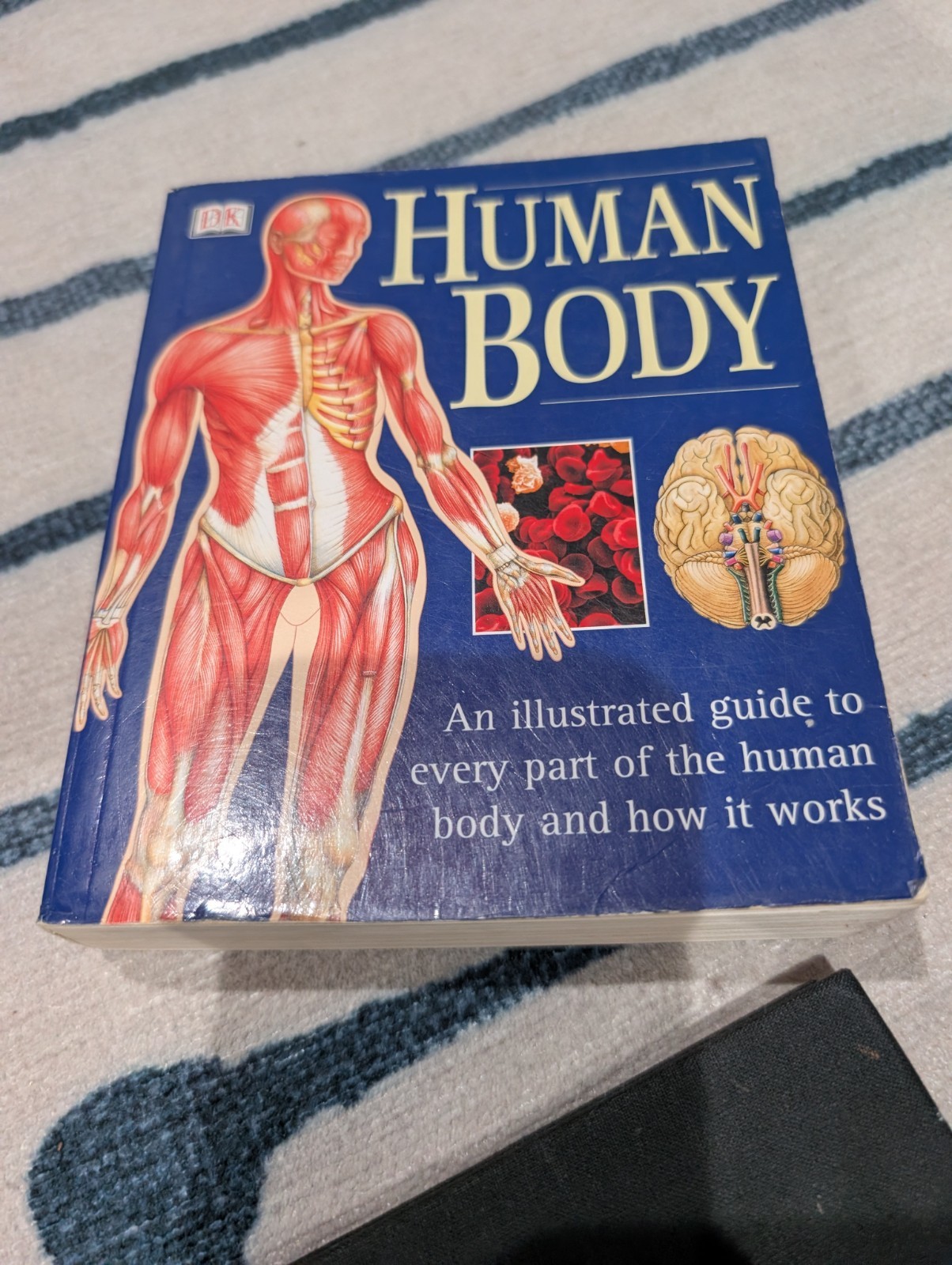Lot of six Books About The Human Body Anatomy & Physiology Illustrated