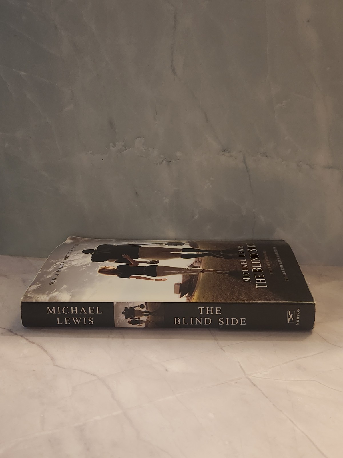 The Blind Side Michael Lewis Michael Oher Football Non-Fiction Book 10.3oz Good!