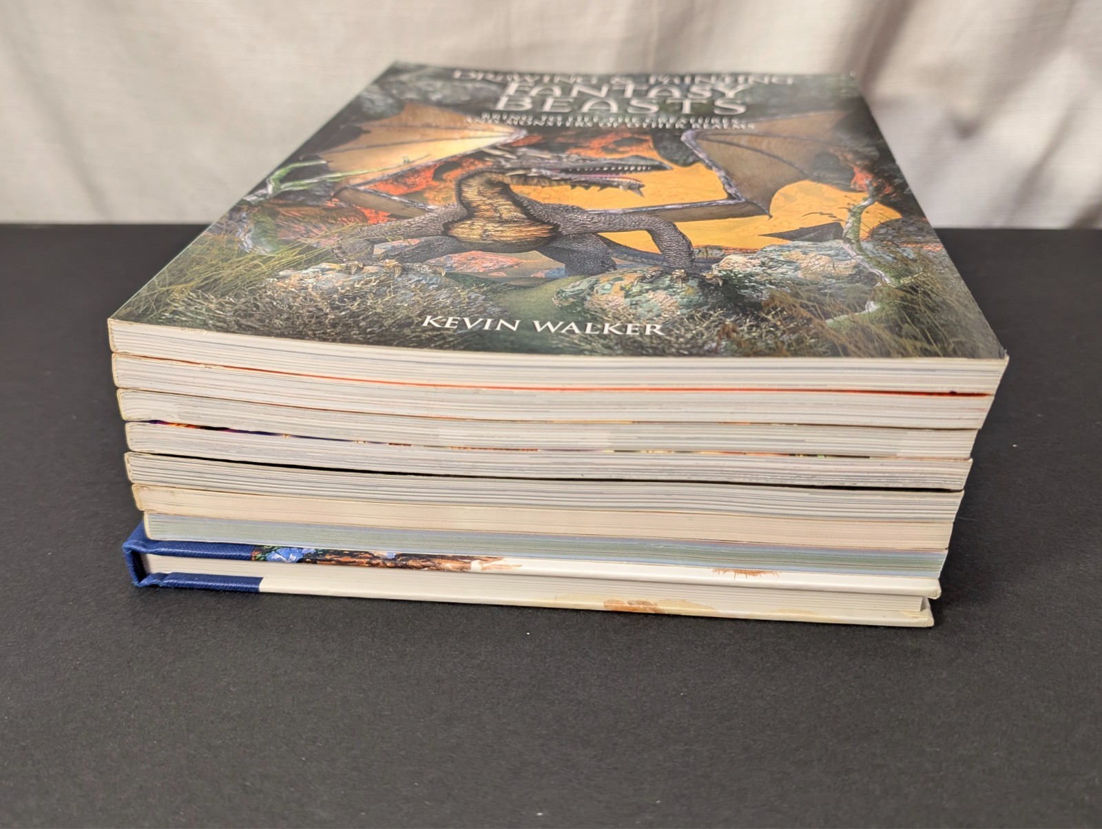 8x Lot of Fantasy Drawing & Painting Books, Barron’s & Impact, Patmore, Cowan