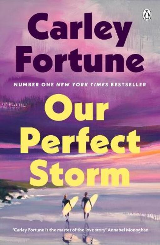 Book In English Our Perfect Storm Carly Fortune