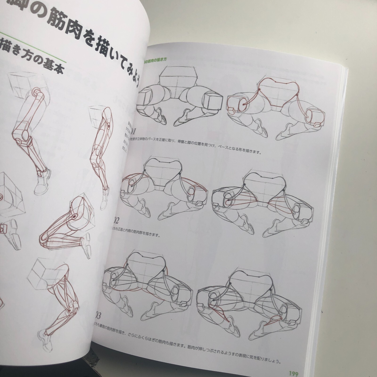 Master Guide to Drawing the Human Body: Character Drawing from the Basics Book