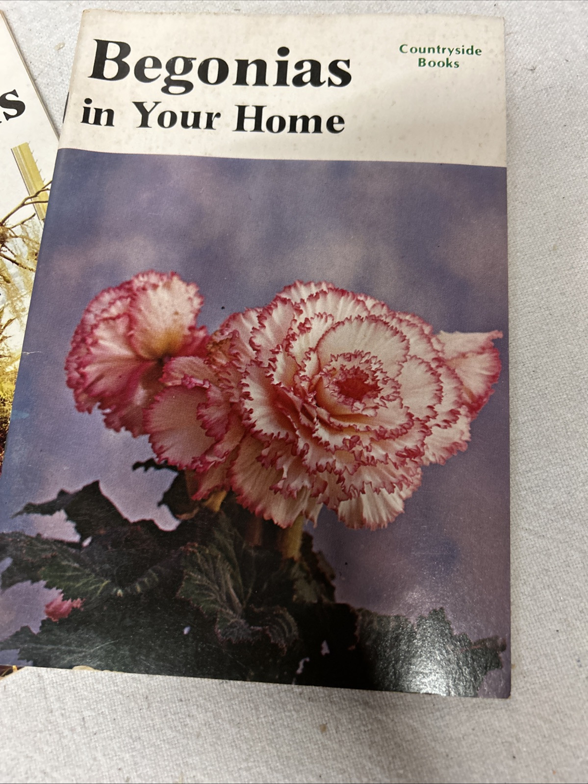 Gardening Guides VINTAGE Book 1970’S Garden And Houseplants Countryside Books