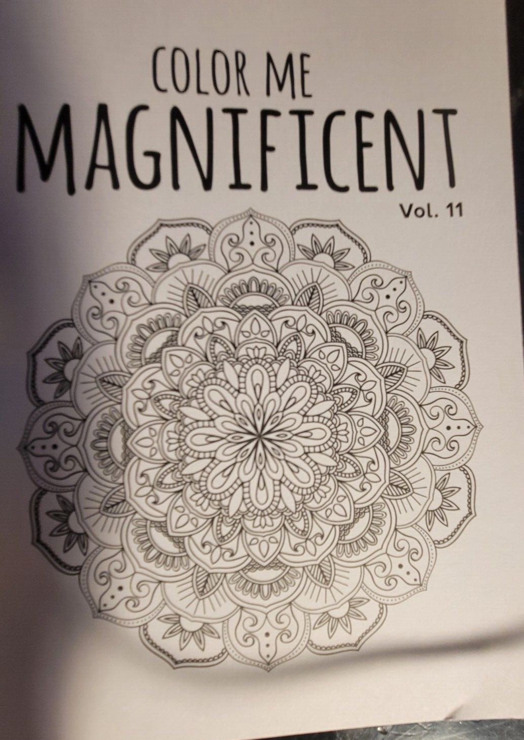 COLOR ME MAGNIFICENT Vol 11 Adult Coloring Book With 47 Prints Ready To Frame