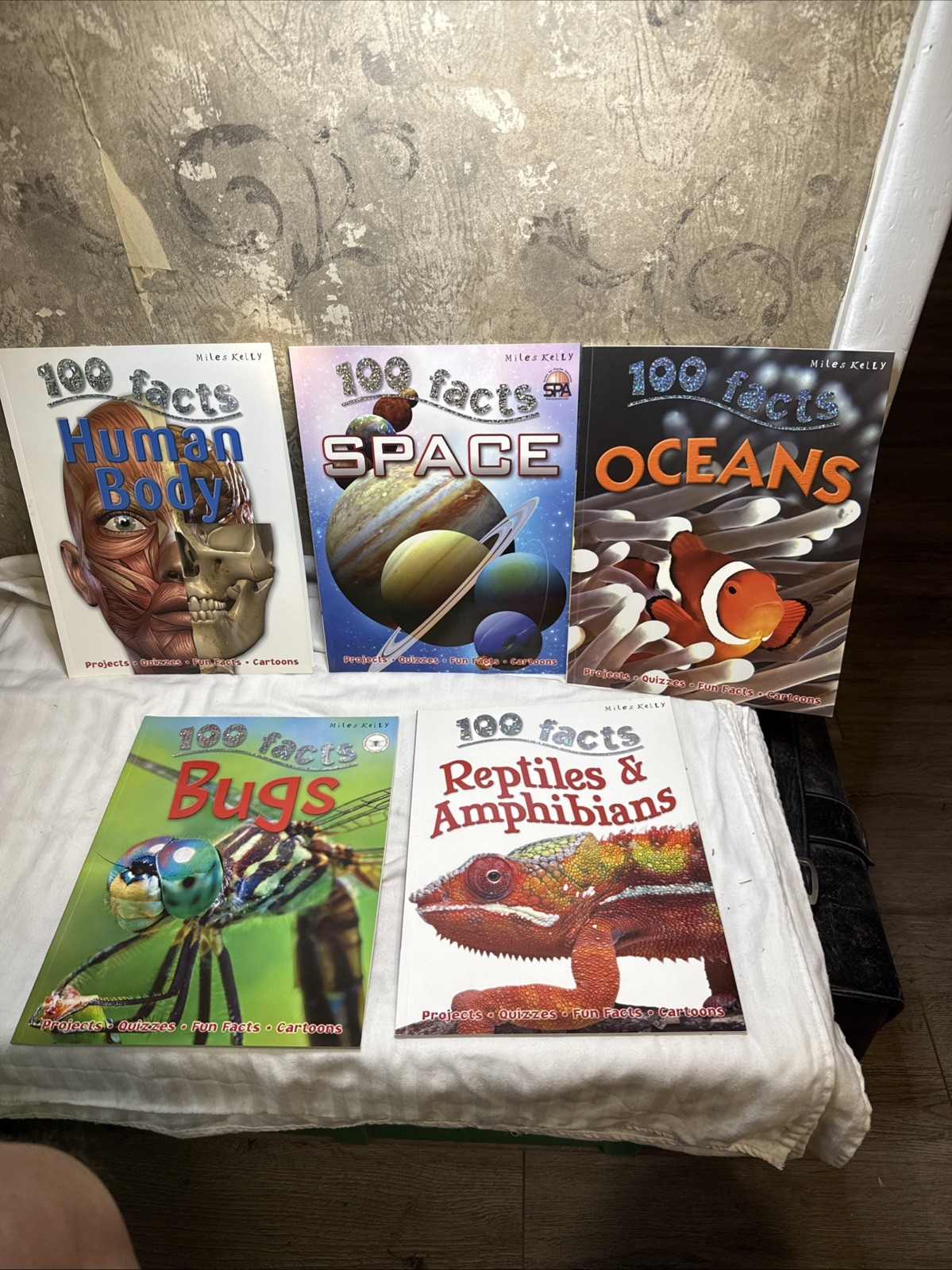 LOT OF 5 100 Facts Large Picture Book Miles Kelly Ages 7-11 Grade 1-5 Homeschool