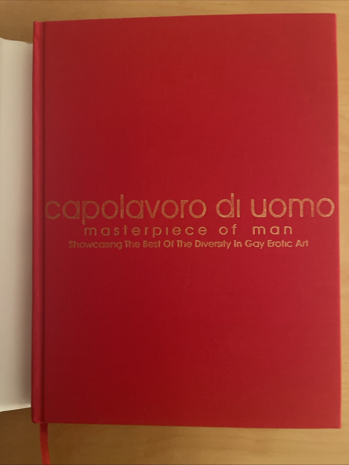 CAPOLAVORO DI UOMO MASTERPIECE OF MAN DIVERSITY IN GAY EROTIC ART NEW HC W/DJ